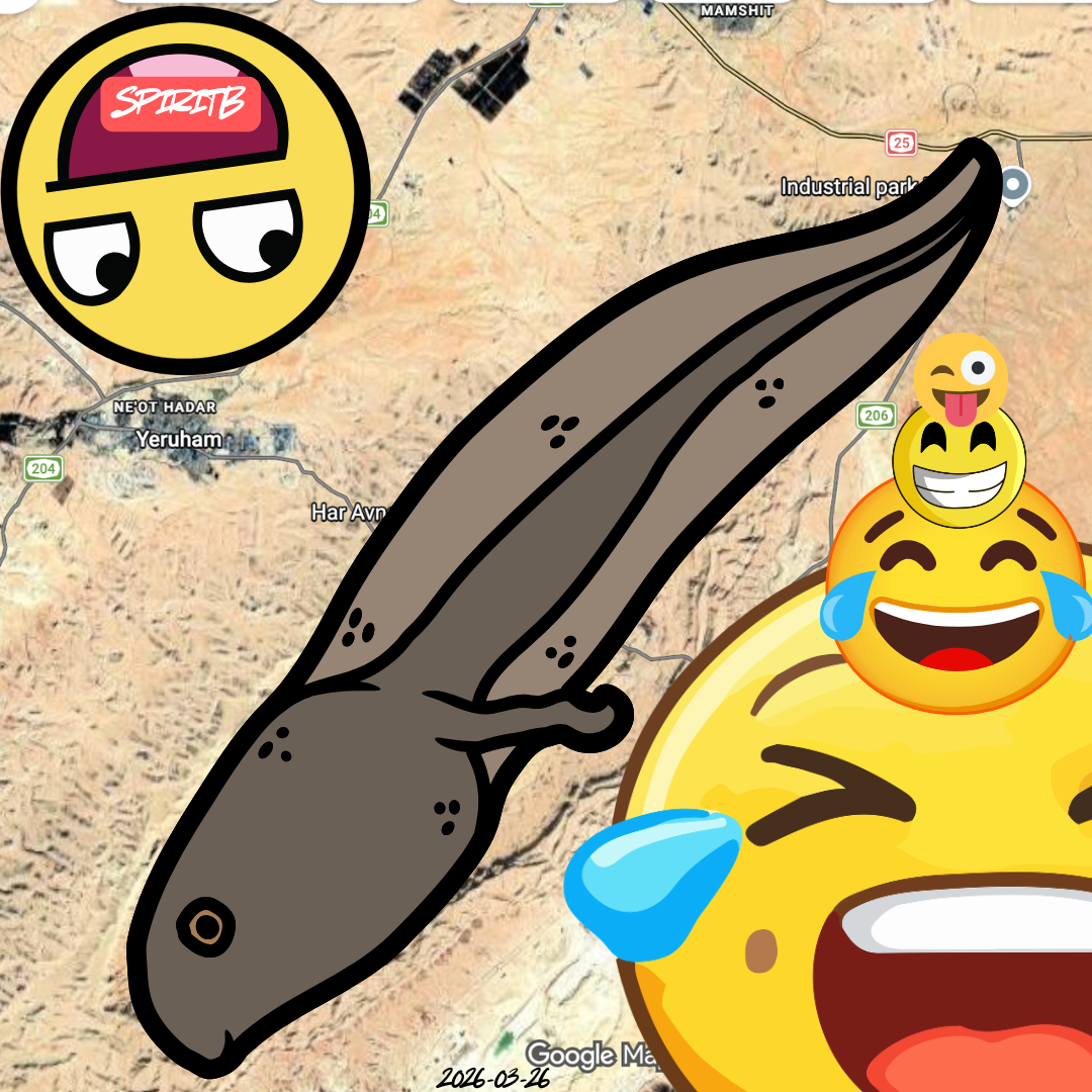israeli tadpole