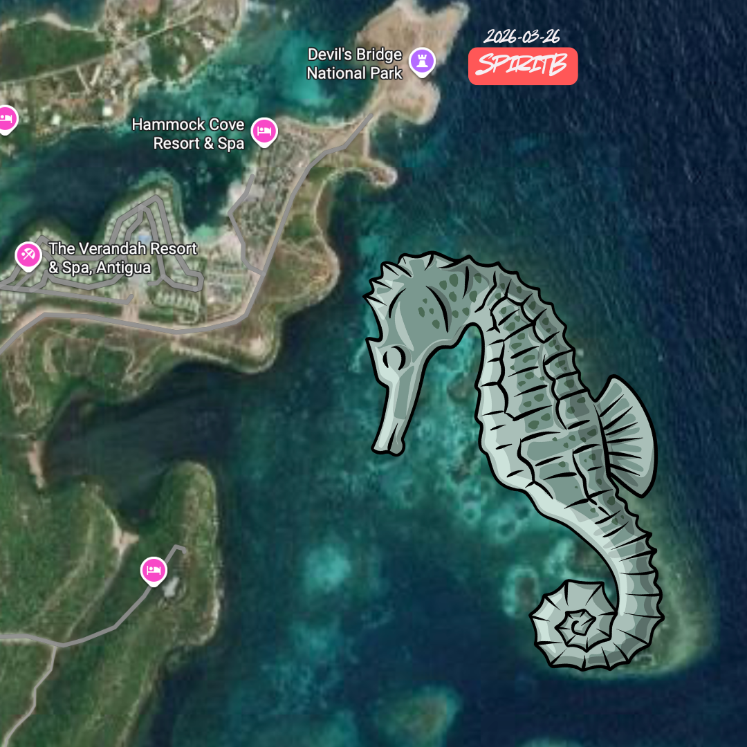 seahorse cove