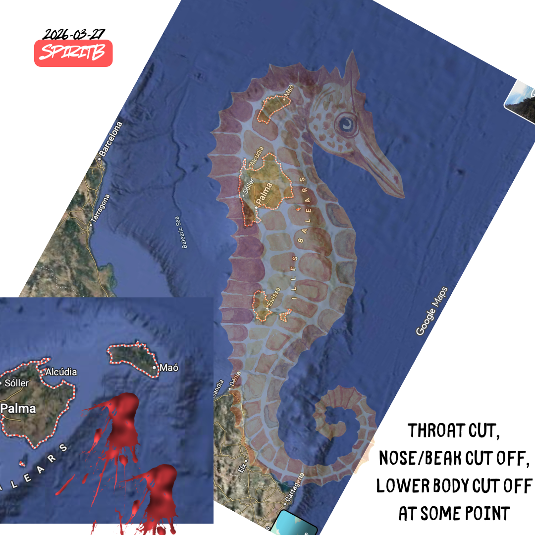seahorse baleric