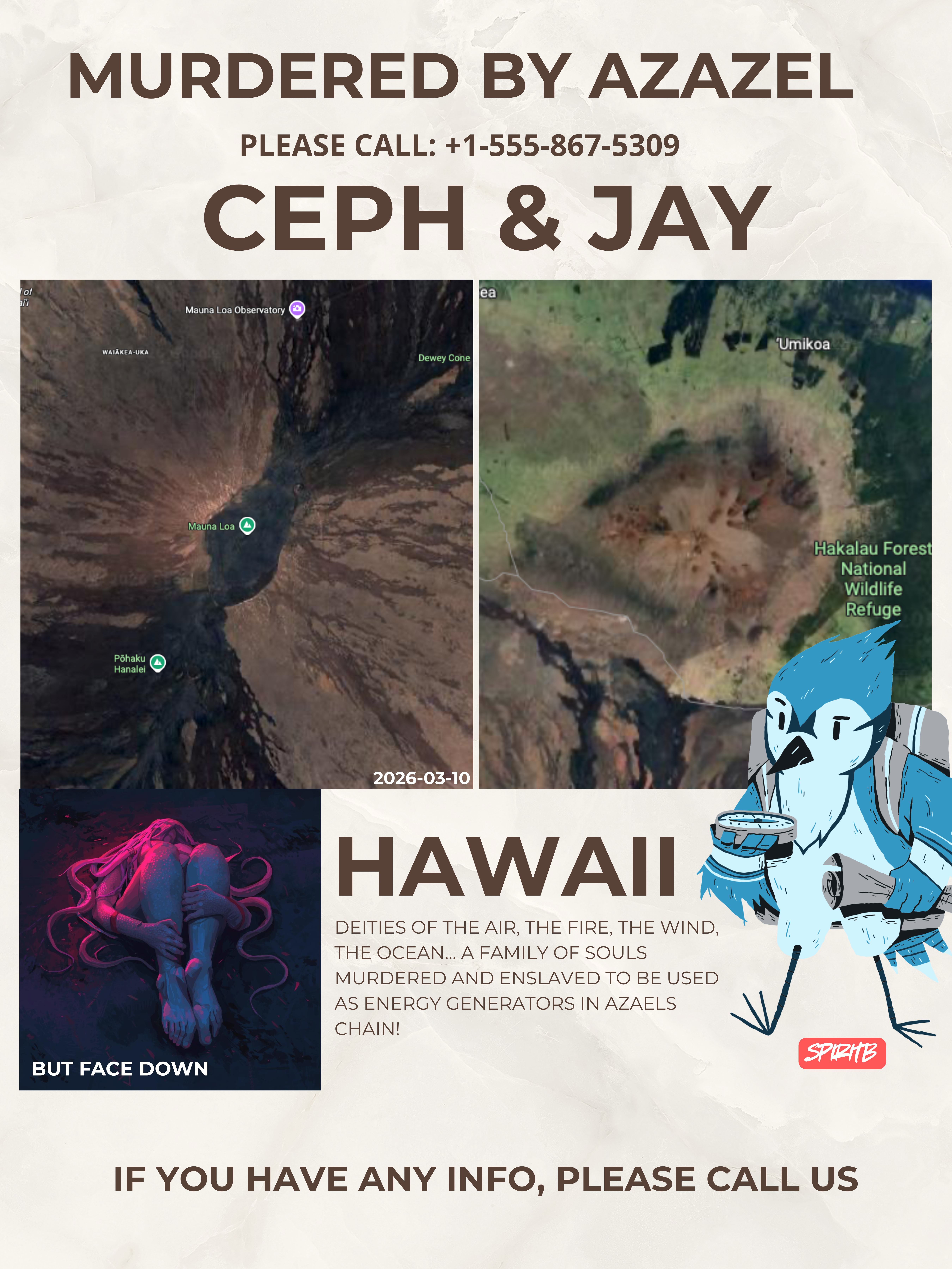 discover hawaii