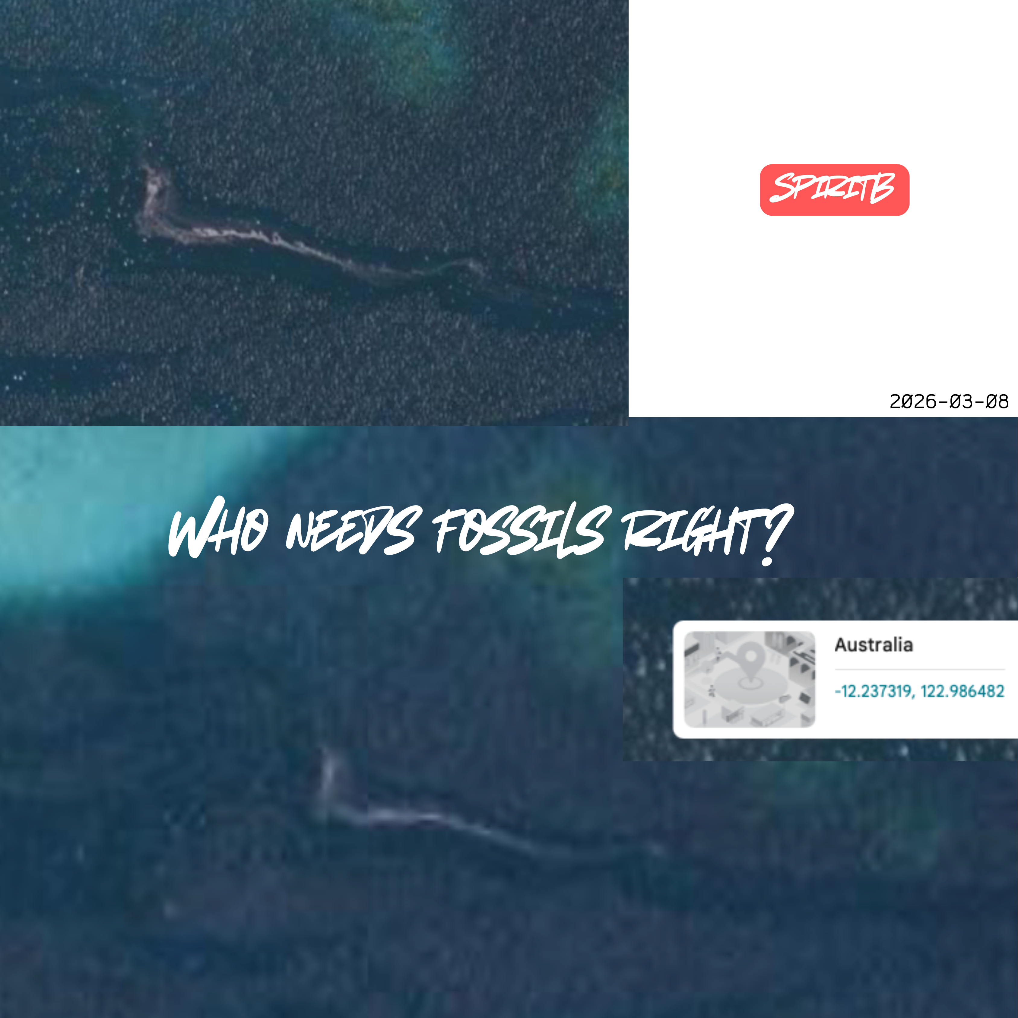 living fossil